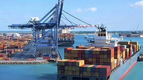 进出口贸易代理，全球市场的桥梁