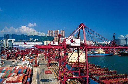 进出口贸易代理，全球市场的桥梁