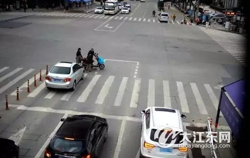 杭州交警违章查询，便捷、透明与责任