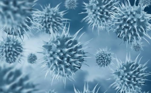 喀什疫情新动态，137例新增病例背后的防控挑战与应对策略