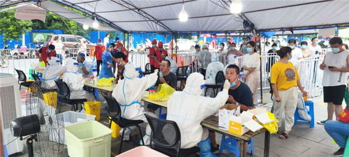 扬州战疫，最新动态与市民生活指南