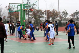 泗阳桃州中学，教育的绿洲，学生成长的摇篮