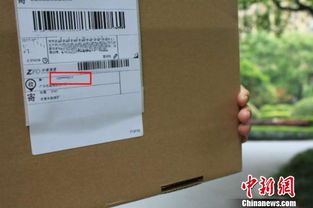 数字背后的故事，揭秘身份证号码中的个人信息与隐私保护