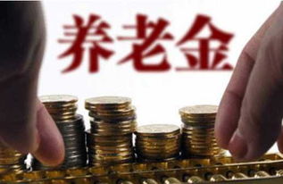 养老金新政策，变革与机遇，保障老年生活新篇章