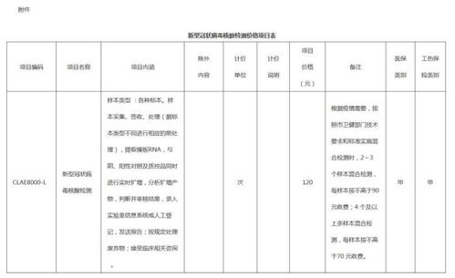 核酸检测费用全解析，价格、影响因素及如何节省开支