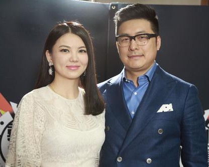 李湘与王岳伦公司注销事件，背后的原因与启示