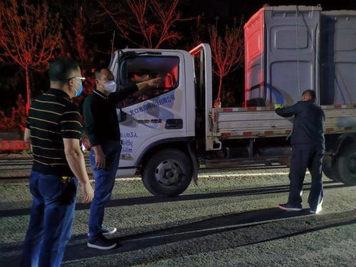 烟台招远疫情最新动态，今日情况解析与防控措施