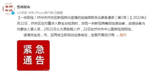 忻州市人民政府，城市发展的舵手，人民福祉的守护者