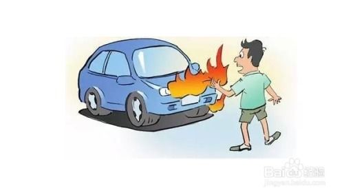 新车购买保险全攻略，如何为爱车选择合适的保险
