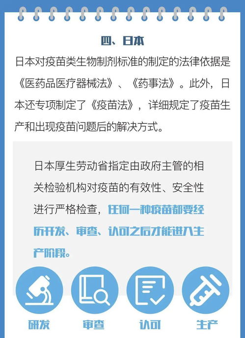 如何开展进出口贸易，专业指南与实用策略