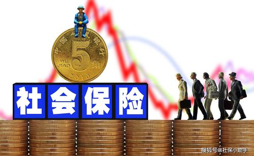 守护晚年的金色盾牌，深入了解我国养老保险制度