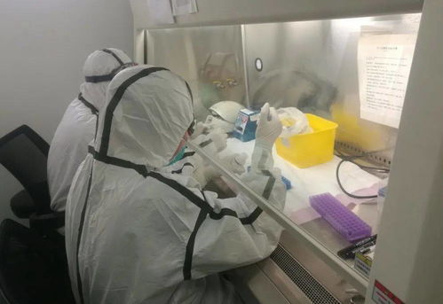 青岛疫情新动态，了解最新进展，共同守护健康