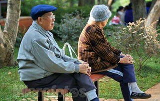 上海老人综合补贴，温暖人心的关怀，让夕阳更红