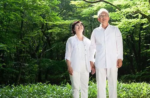 上海老人综合补贴，温暖人心的关怀，让夕阳更红