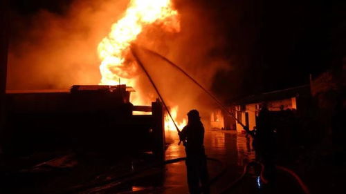 火海中的警示，大连新港火灾事件深度解析