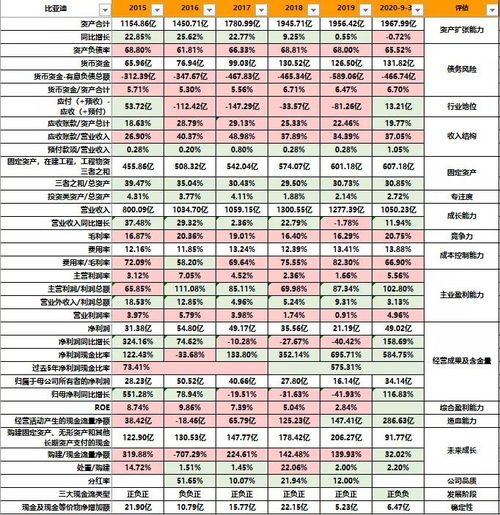 深入解析净资产增长率，企业财务健康的晴雨表
