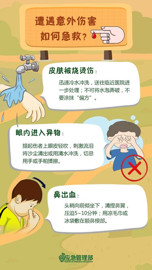 地下室的启示，职场安全与自我保护