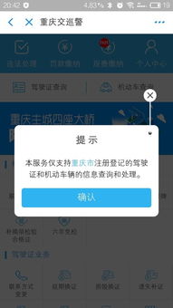 重庆市车辆违章查询，一键掌握，避免罚款与扣分