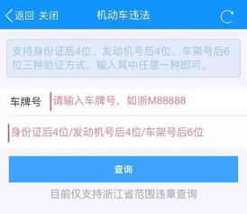 重庆市车辆违章查询，一键掌握，避免罚款与扣分