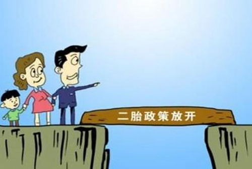 深入解析单独二胎政策，含义、背景与影响