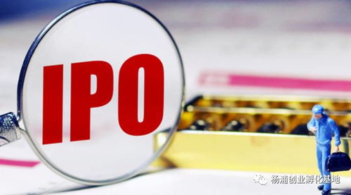 基金公司倒闭，投资者的危机与机遇