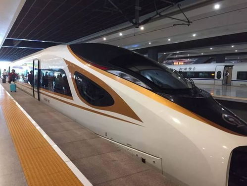 深刻反思，温州动车事故与铁路安全的重要性