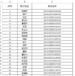 成年人身份证号码，隐私保护与数字身份的平衡艺术