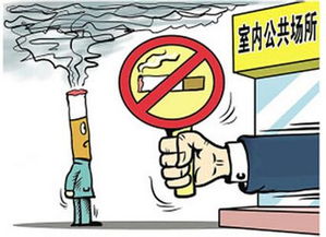 公共场所禁烟制度，健康保护与社会责任的平衡