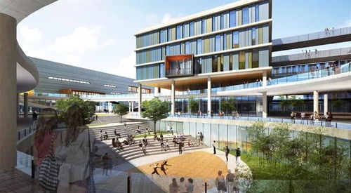 威海人事局，人才战略与地方发展的桥梁