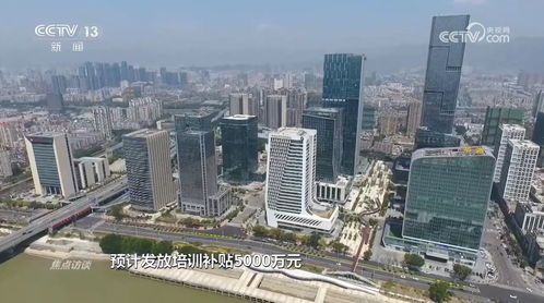 威海人事局，人才战略与地方发展的桥梁