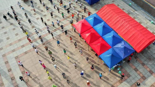 疫情动态，31省区市新增5例本土确诊的深度解析