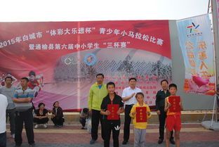 白城市人民政府，地方治理的典范与挑战