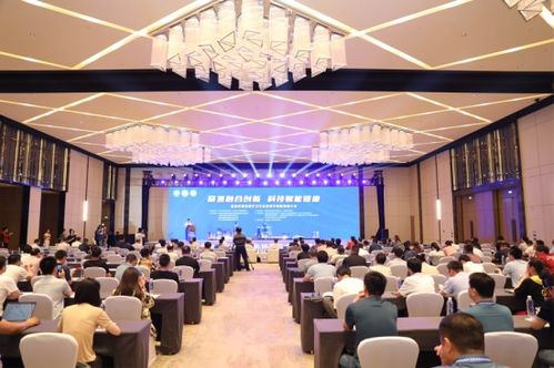 安徽医疗发展，安徽省卫生厅的创新与挑战