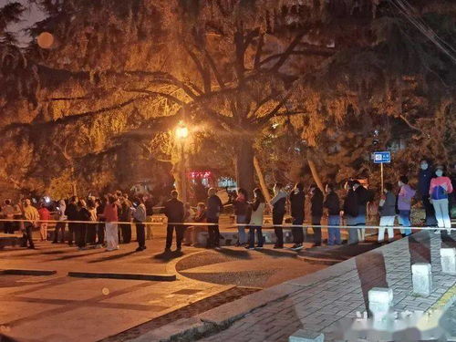 青岛疫情动态，了解今天新增9例的背景与应对措施