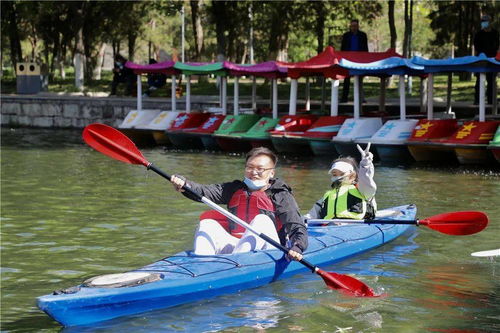 探索北京的人才宝库，北京市人才市场的活力与机遇