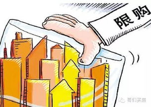 成都限购政策，理解、影响与应对策略