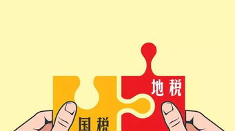 地税有哪些税种，深入了解地方税收体系