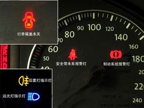 东莞汽车违章，安全驾驶的警示灯