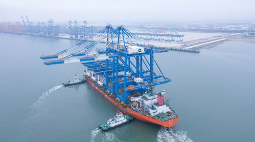 国有企业负责人，领航经济巨轮的关键舵手