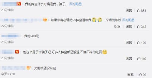 戴威被限制消费，企业责任与个人信用的双重考验