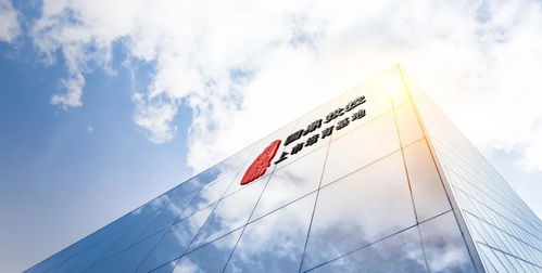 探索上市咨询公司，助力企业走向资本市场的桥梁