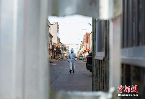 藁城区增村镇小果庄村，探索中国农村发展与变迁的缩影