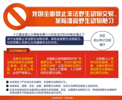 动物防疫法，保护动物健康，维护公共卫生安全
