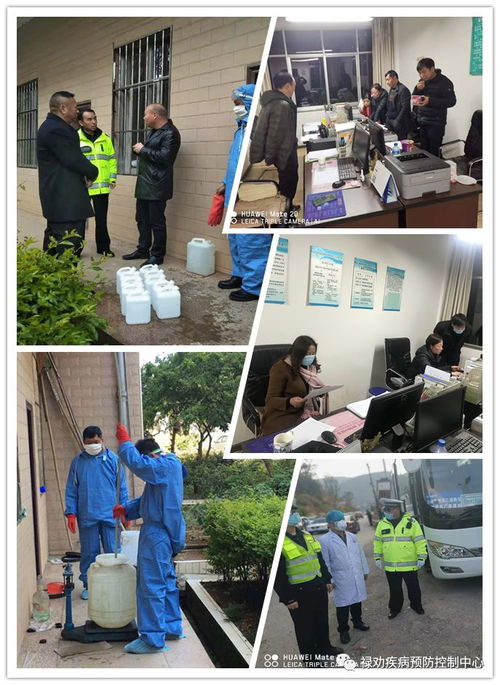 福建省疫情动态，全面了解最新通报及防控措施