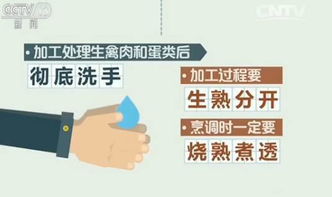 杭州新冠，防控策略与日常生活的和谐共处