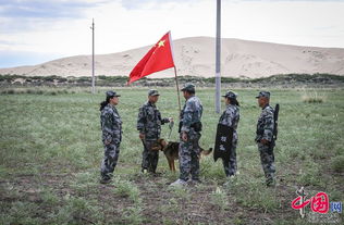 边境线上的较量，揭秘中越边境破获运毒大案