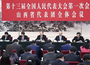 全国人大常委会，中国民主政治的核心力量