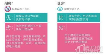 期房全解析，购房者必知的房产投资知识