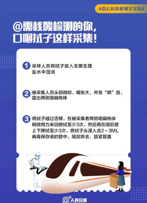 进口车上牌全攻略，流程、费用与注意事项