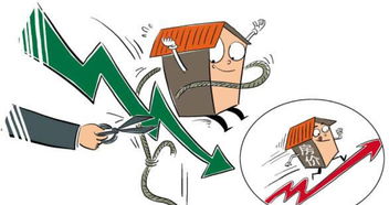 宏观调控的艺术，手段与实践